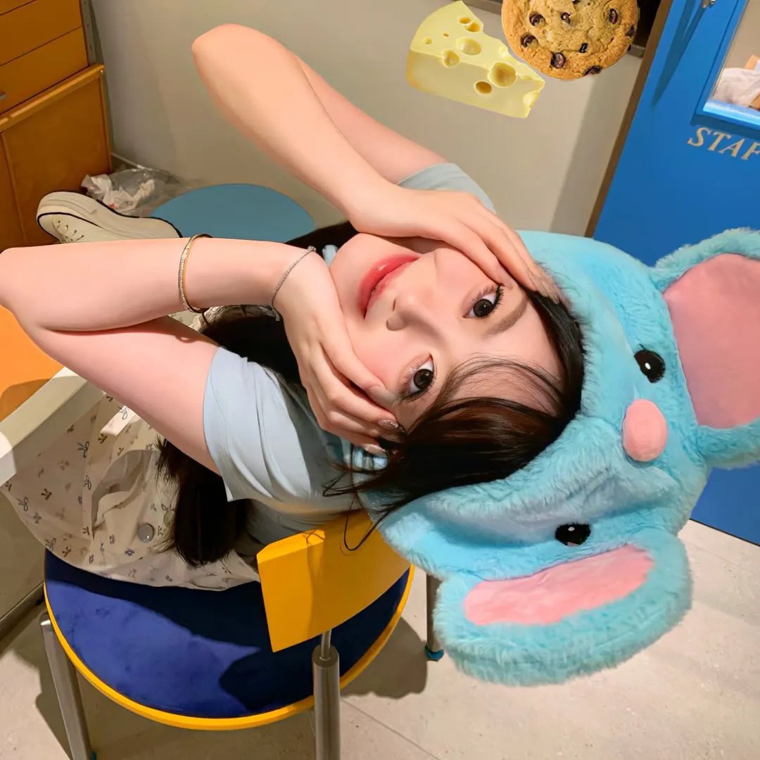 帝企鹅日记